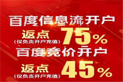 百度SEM推广案例：揭秘行业领军企业的成功之路
